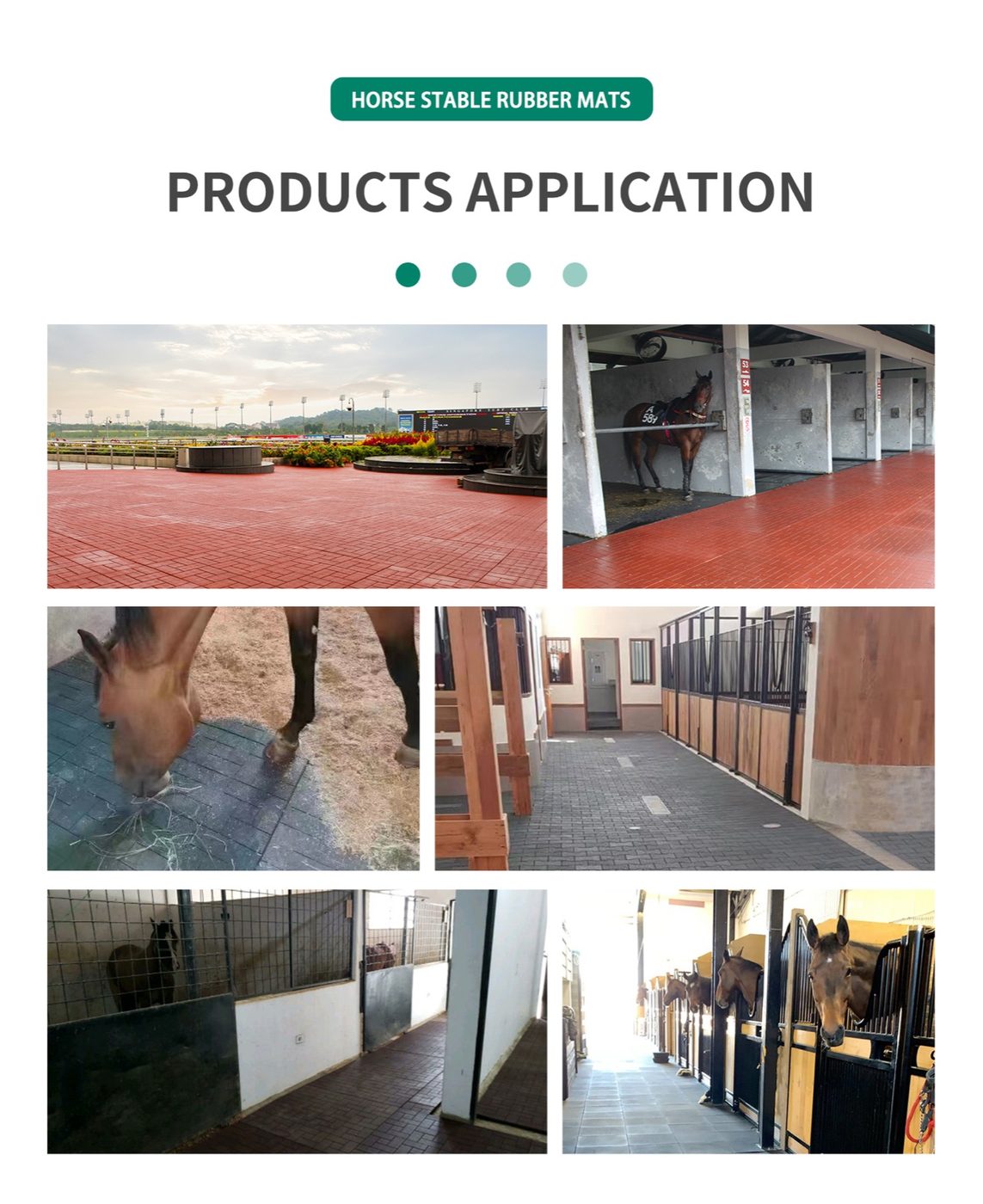 Horse Stable Rubber Mat detailed technical sheet 2